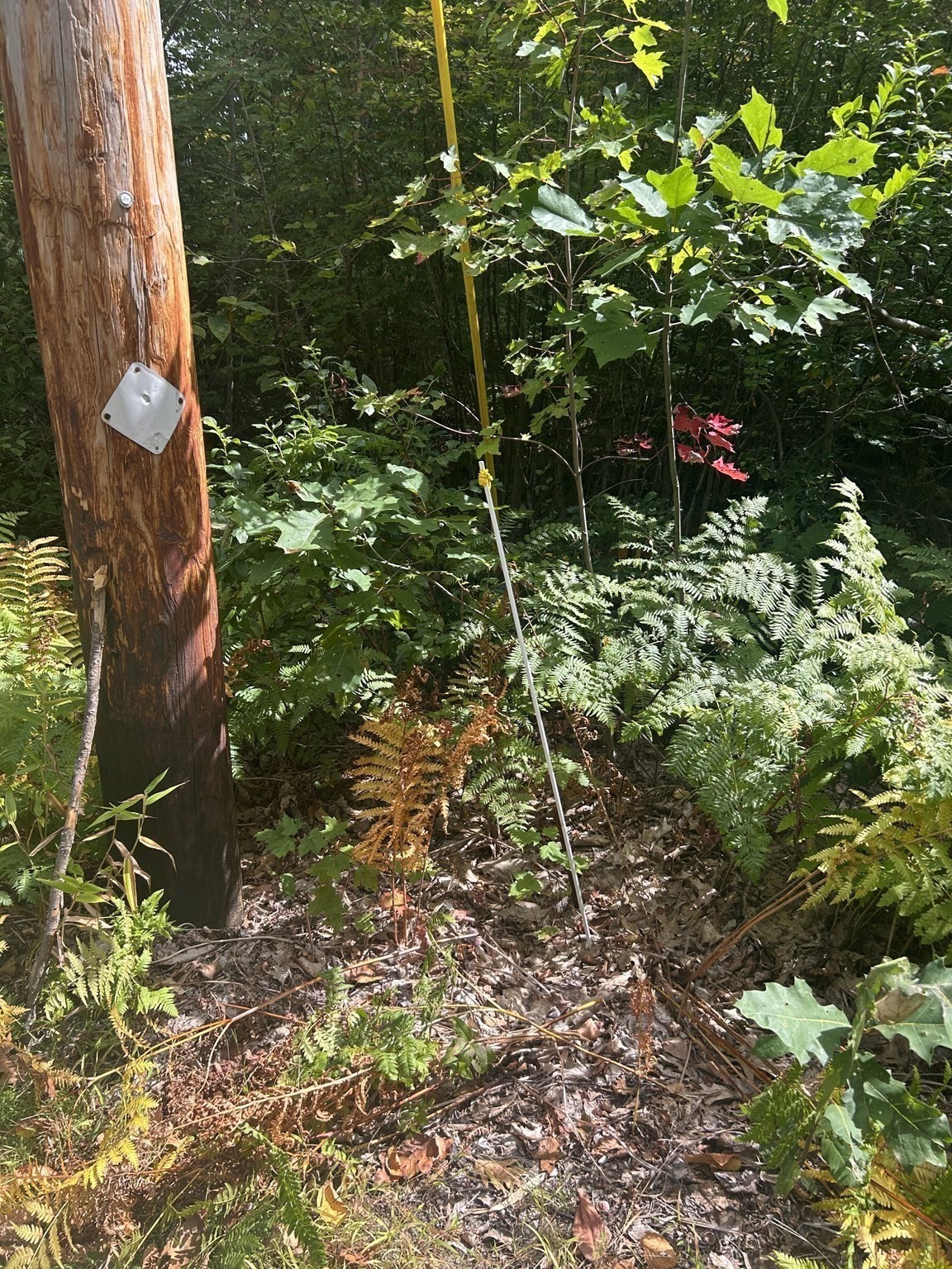 531 Mason Rd, Ashby, MA 01431 - Image 3