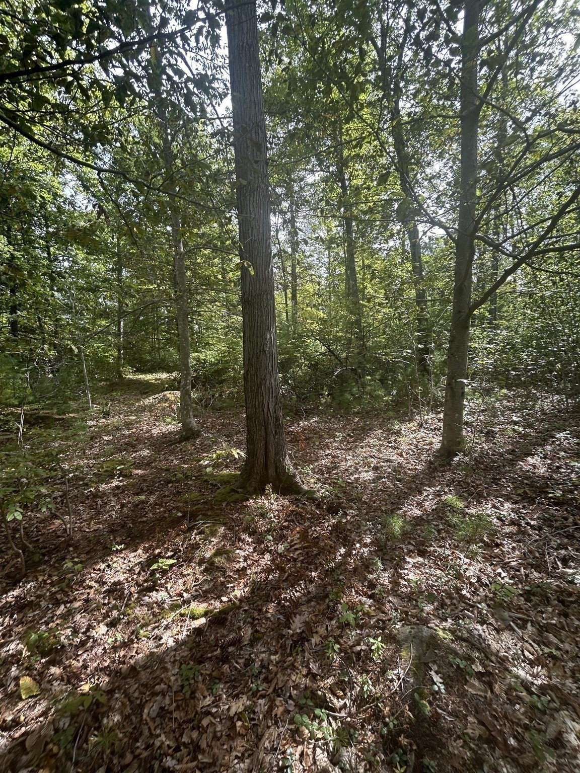 531 Mason Rd, Ashby, MA 01431 - Image 4