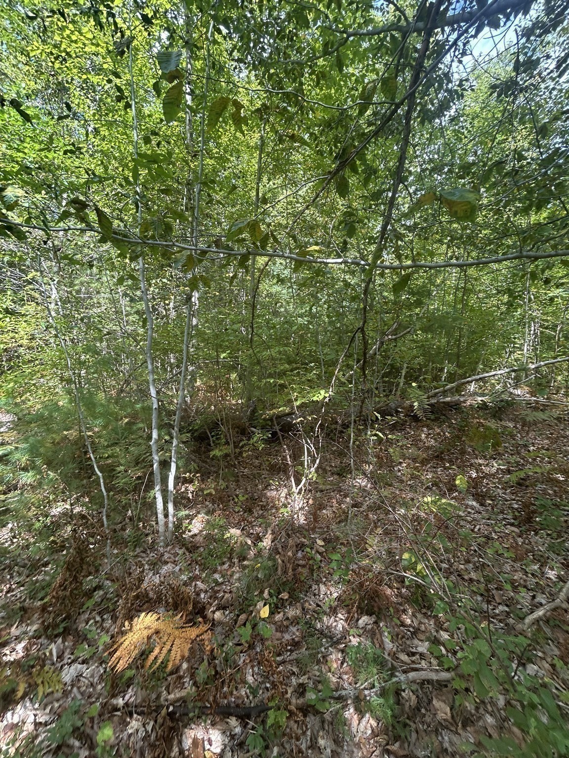 531 Mason Rd, Ashby, MA 01431 - Image 6