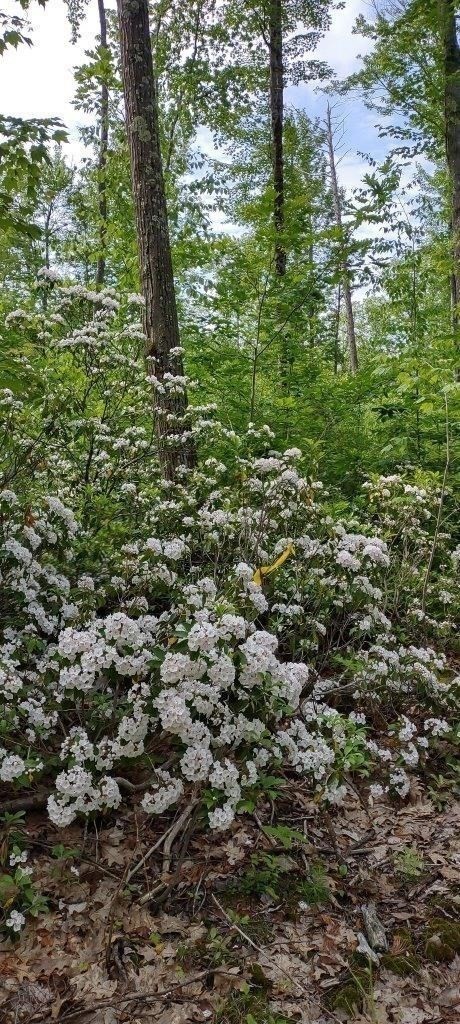 531 Mason Rd, Ashby, MA 01431 - Image 10