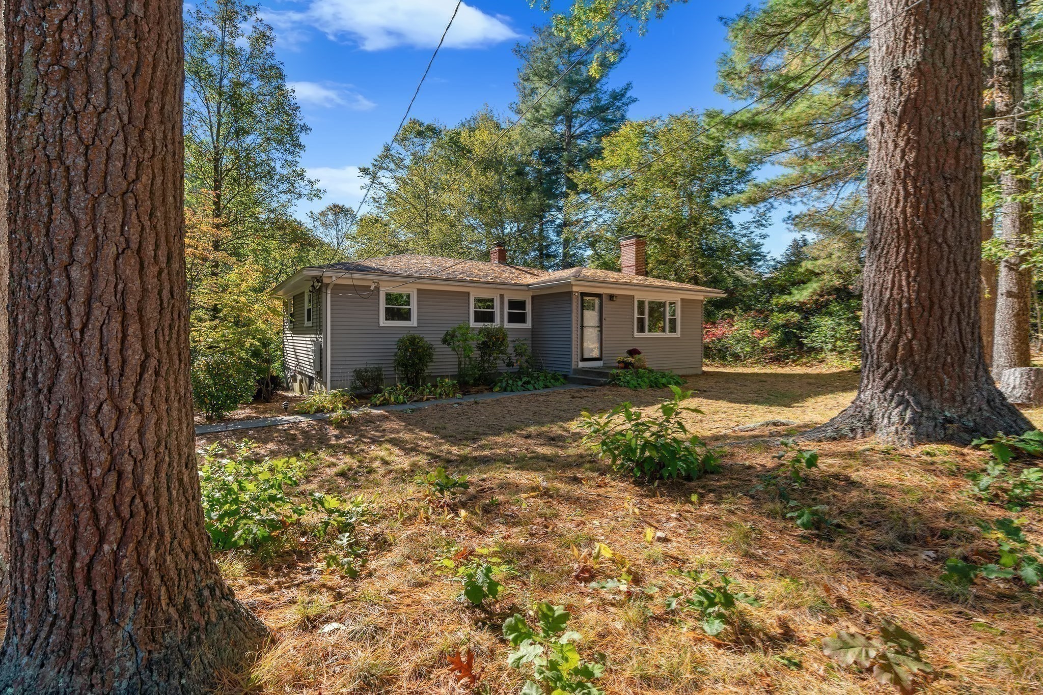 353 Old Connecticut Path, Wayland, MA 01778 - Image 6