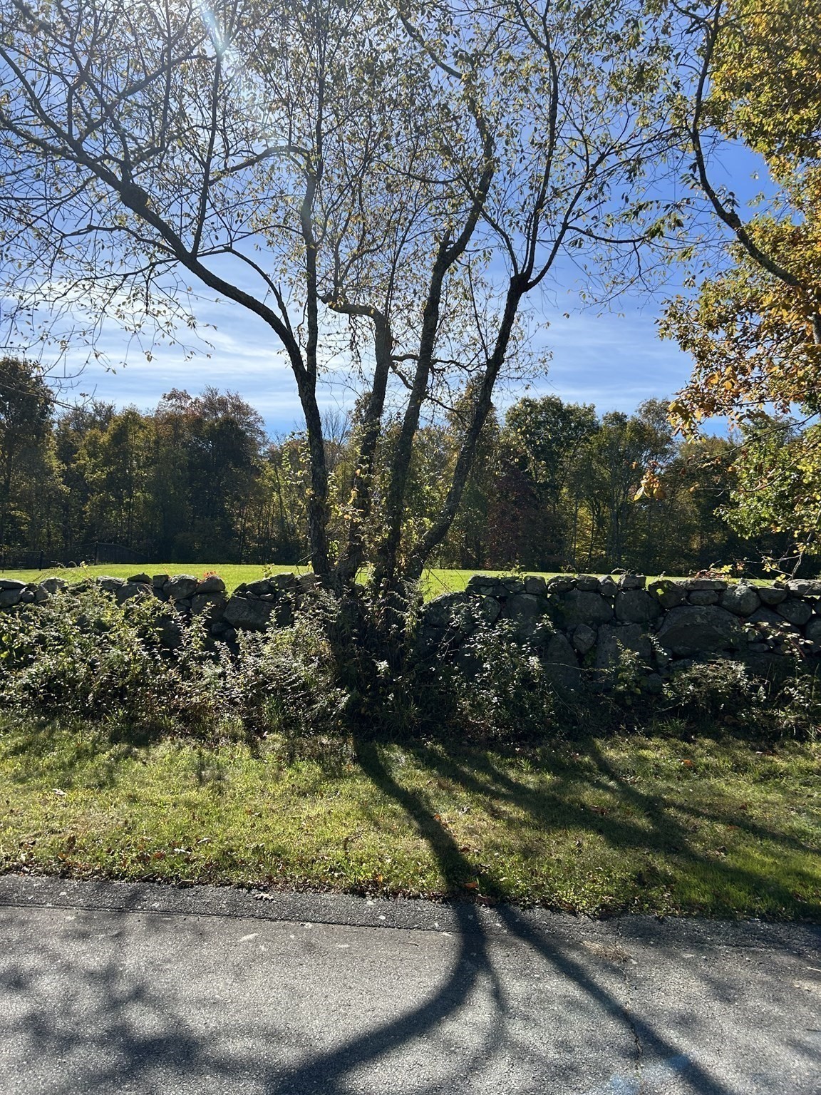 8 Strawberry Ln, Westport, MA 02790 - Image 5