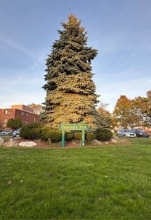 800 Governors Drive Unit 30, Winthrop, MA 02152 - Image 1