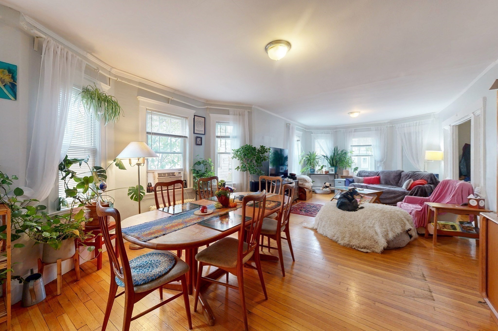 234 Huron Avenue, Cambridge, MA 02138 - Image 22