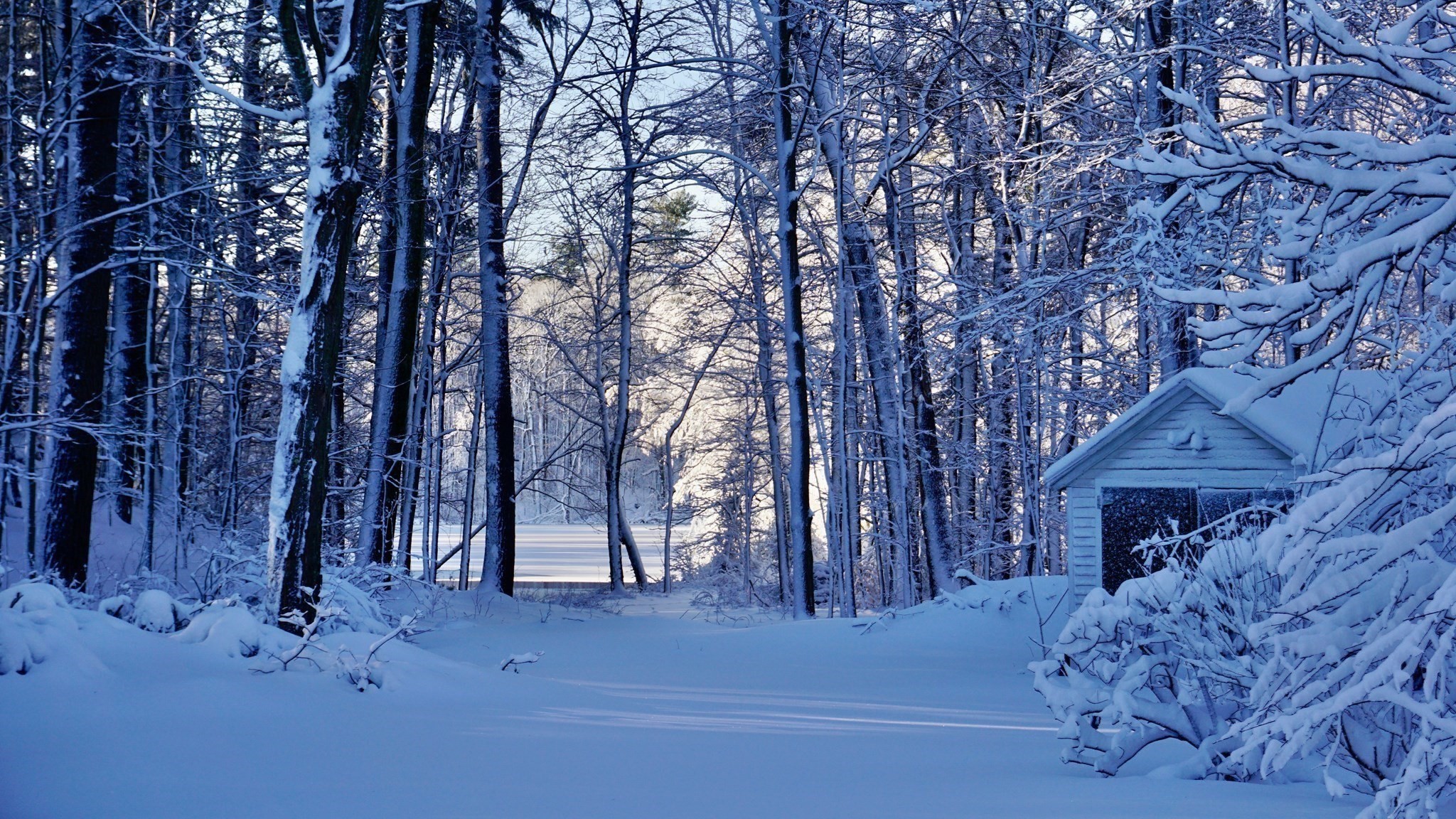 1040 High Street, Dedham, MA 02026 - Image 30