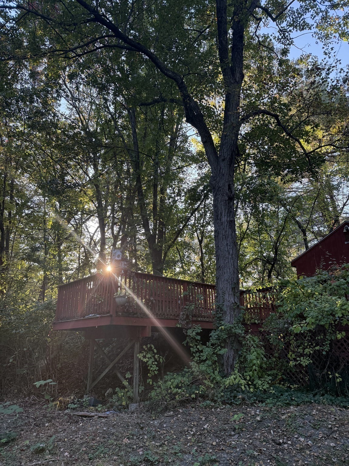 12 Parkview Ter, North Reading, MA 01864 - Image 5