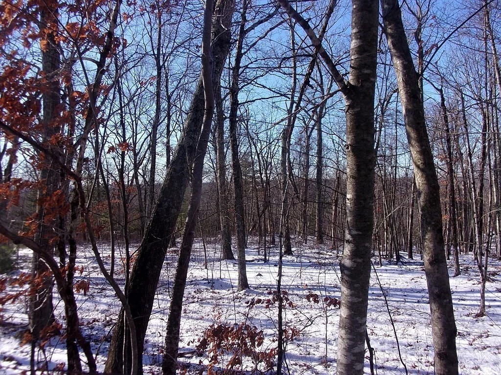 90 Chestnut Hill Road, Millville, MA 01529 - Image 3