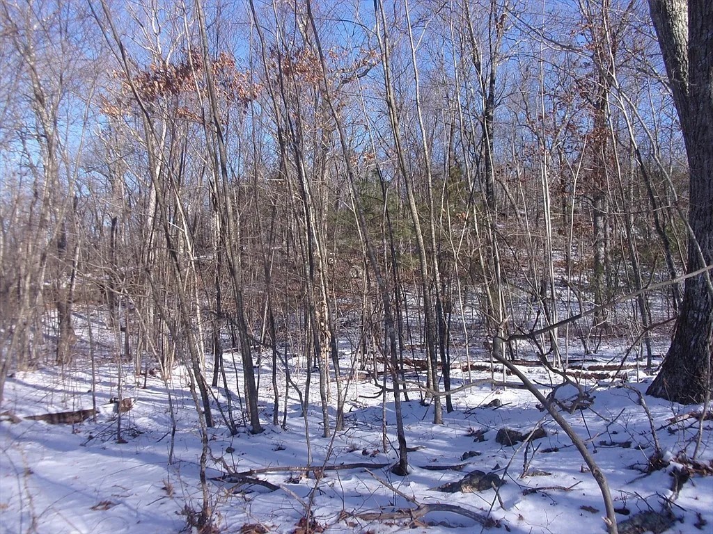 90 Chestnut Hill Road, Millville, MA 01529 - Image 4