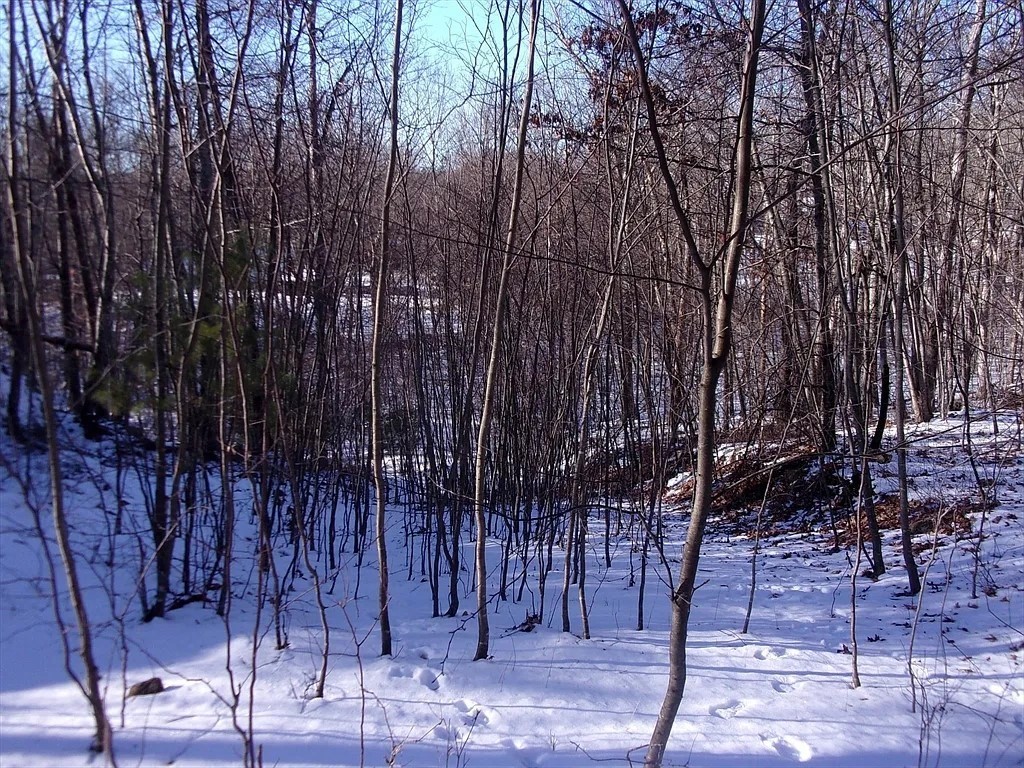 90 Chestnut Hill Road, Millville, MA 01529 - Image 5