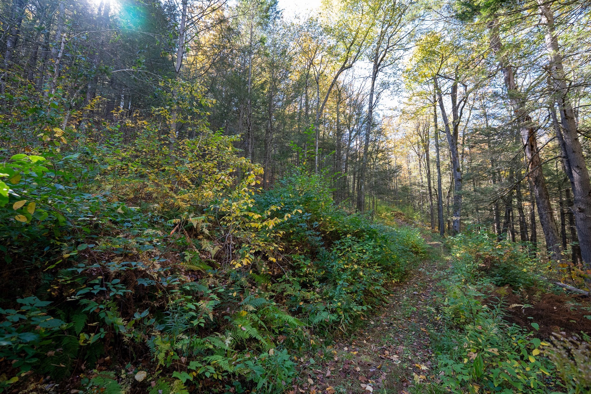 0 Lakeville Dam Road, Huntington, MA 01050 - Image 8