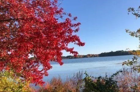 8 Stagecoach Circle Unit 8, Westborough, MA 01581 - Image 29