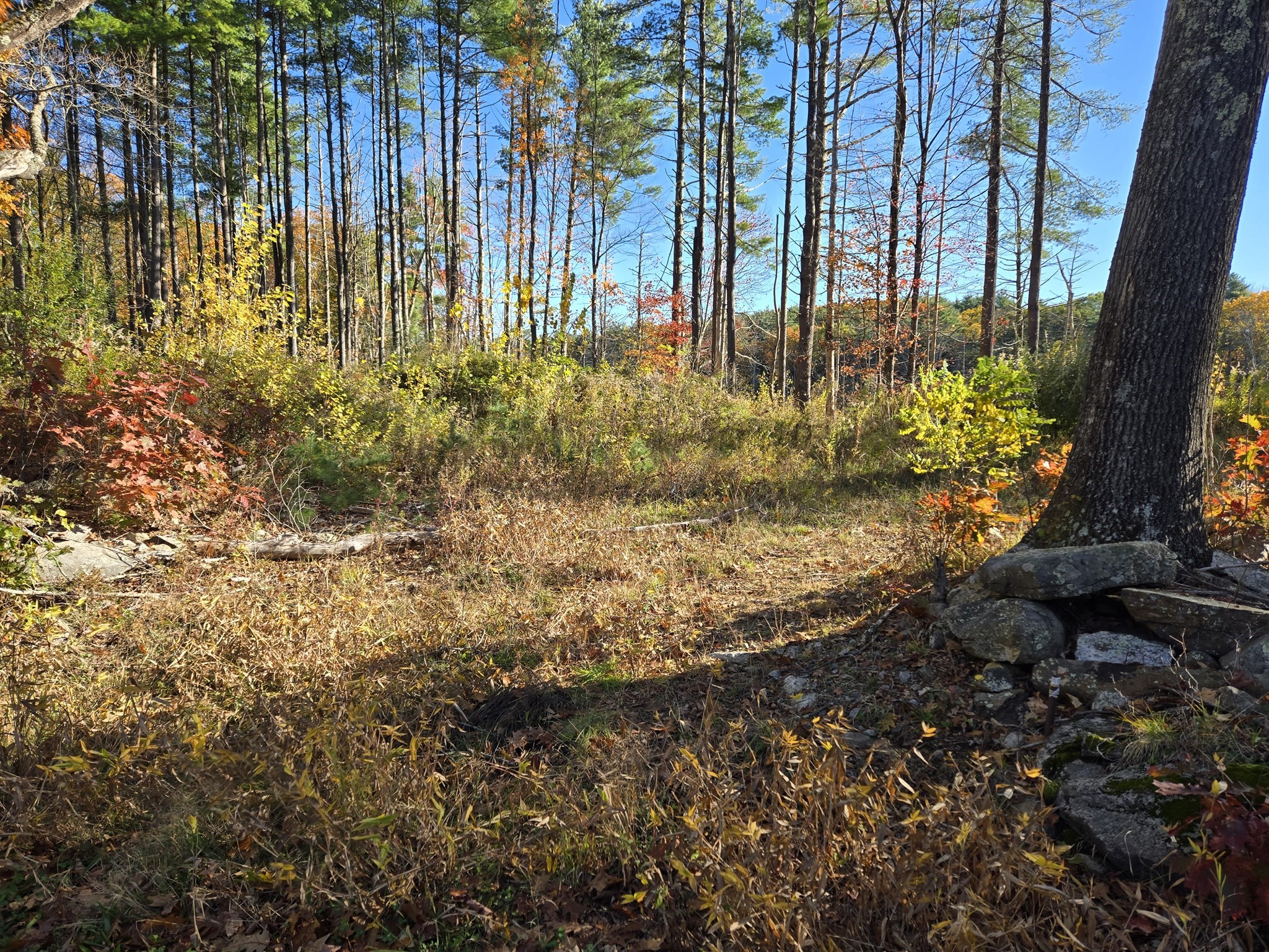 25 Dennison Lane, Southbridge, MA 01550 - Image 1