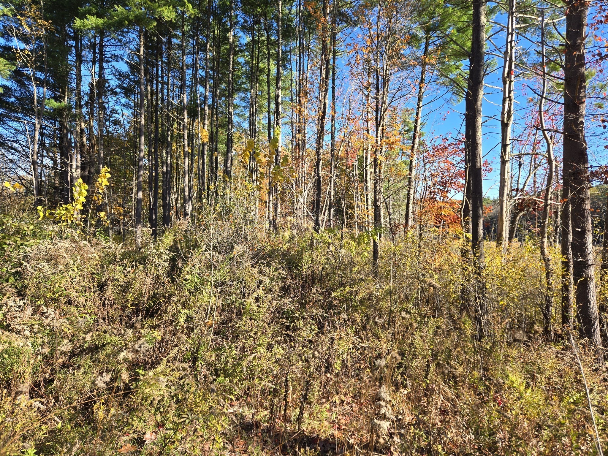 25 Dennison Lane, Southbridge, MA 01550 - Image 2