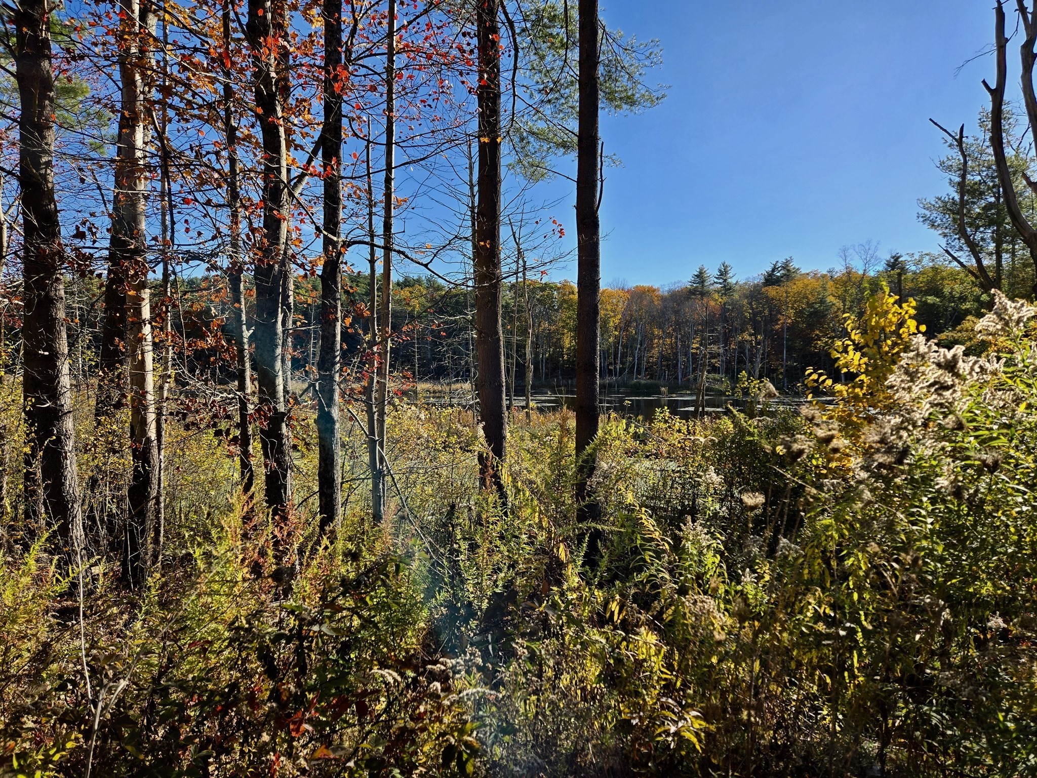 25 Dennison Lane, Southbridge, MA 01550 - Image 3