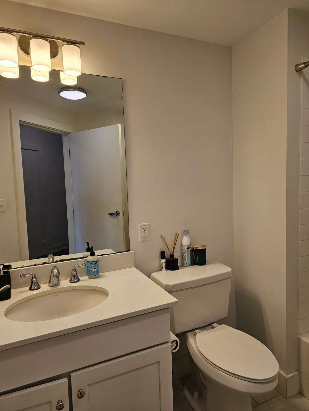 20 Penniman Rd Unit 208, Allston, Boston, MA 02134 - Image 9