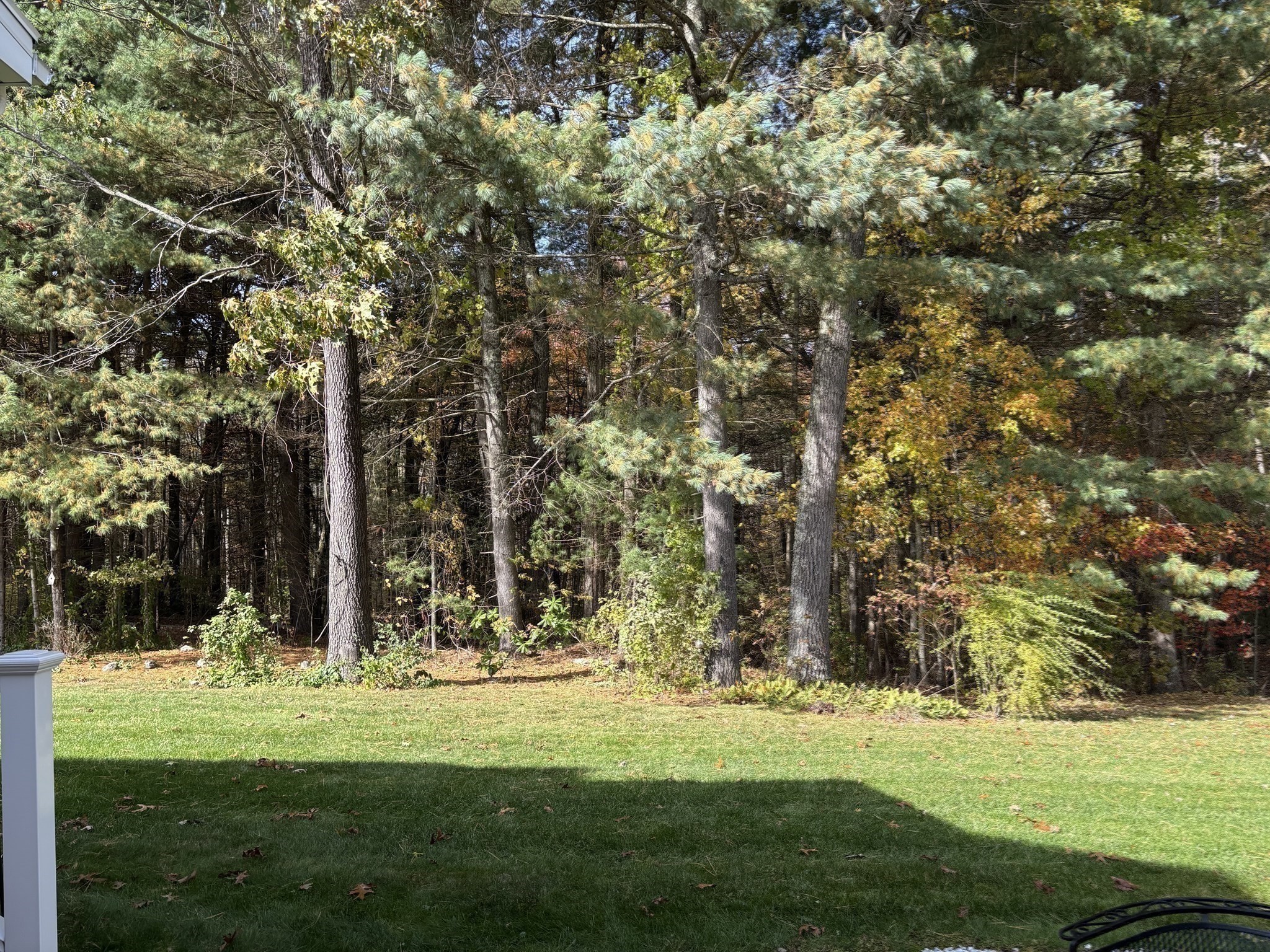 69 High Pine Cir Unit 69, Wilbraham, MA 01095 - Image 39