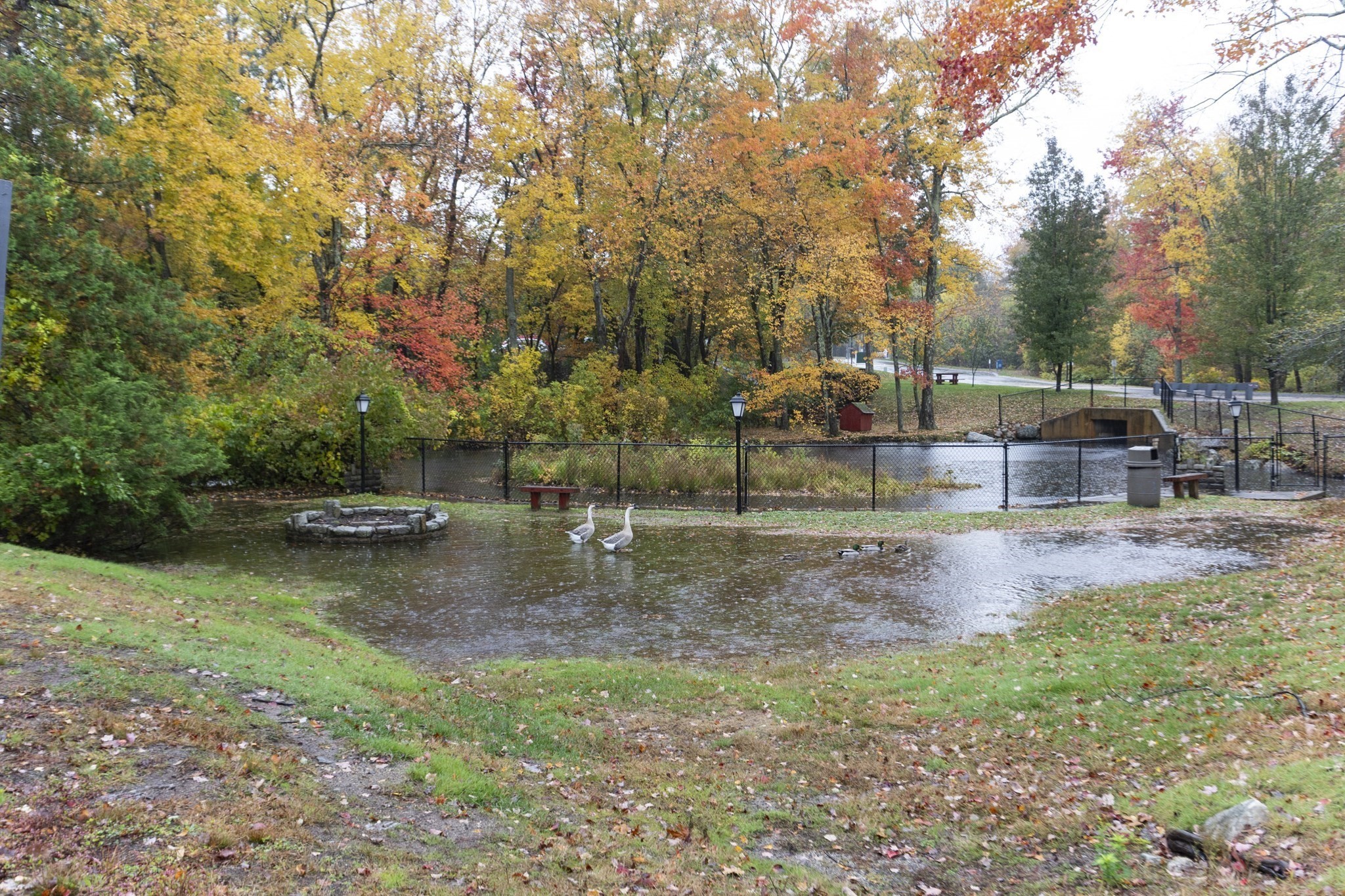 4 Kennedy Lane Unit 49, Milford, MA 01757