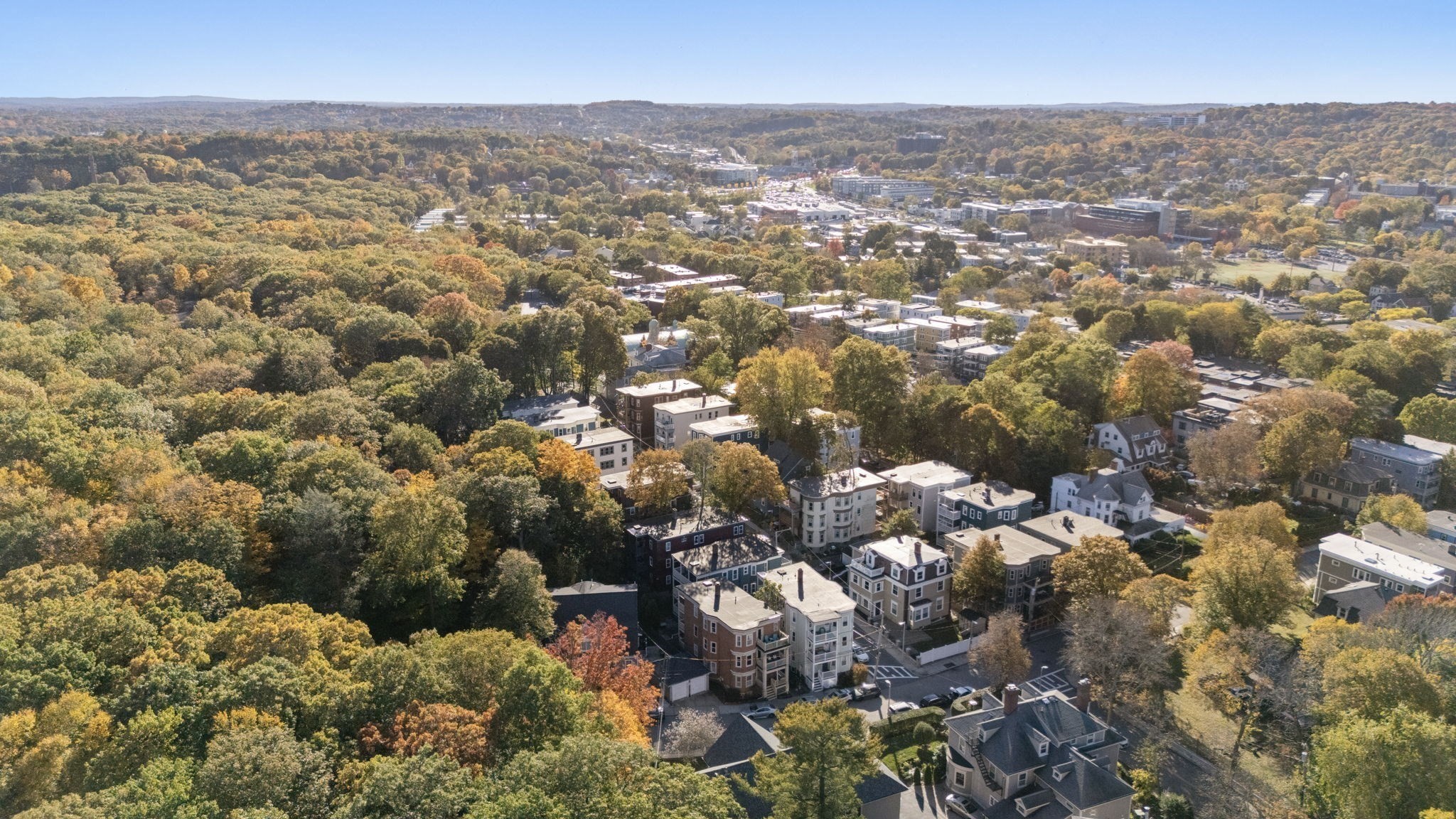 85 Glen Road Unit 2, Jamaica Plain, Boston, MA 02130 - Image 22