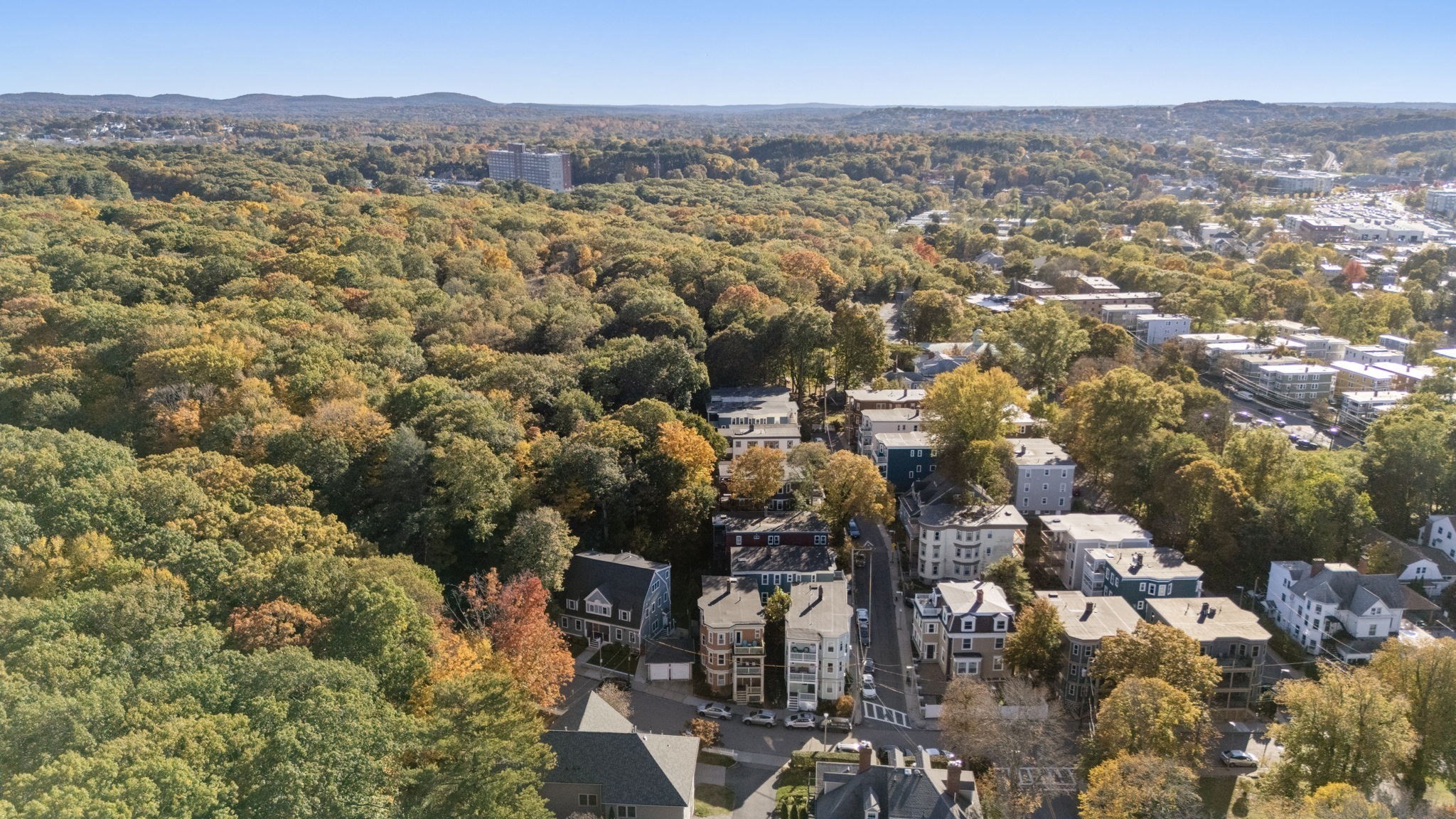 85 Glen Road Unit 2, Jamaica Plain, Boston, MA 02130 - Image 23