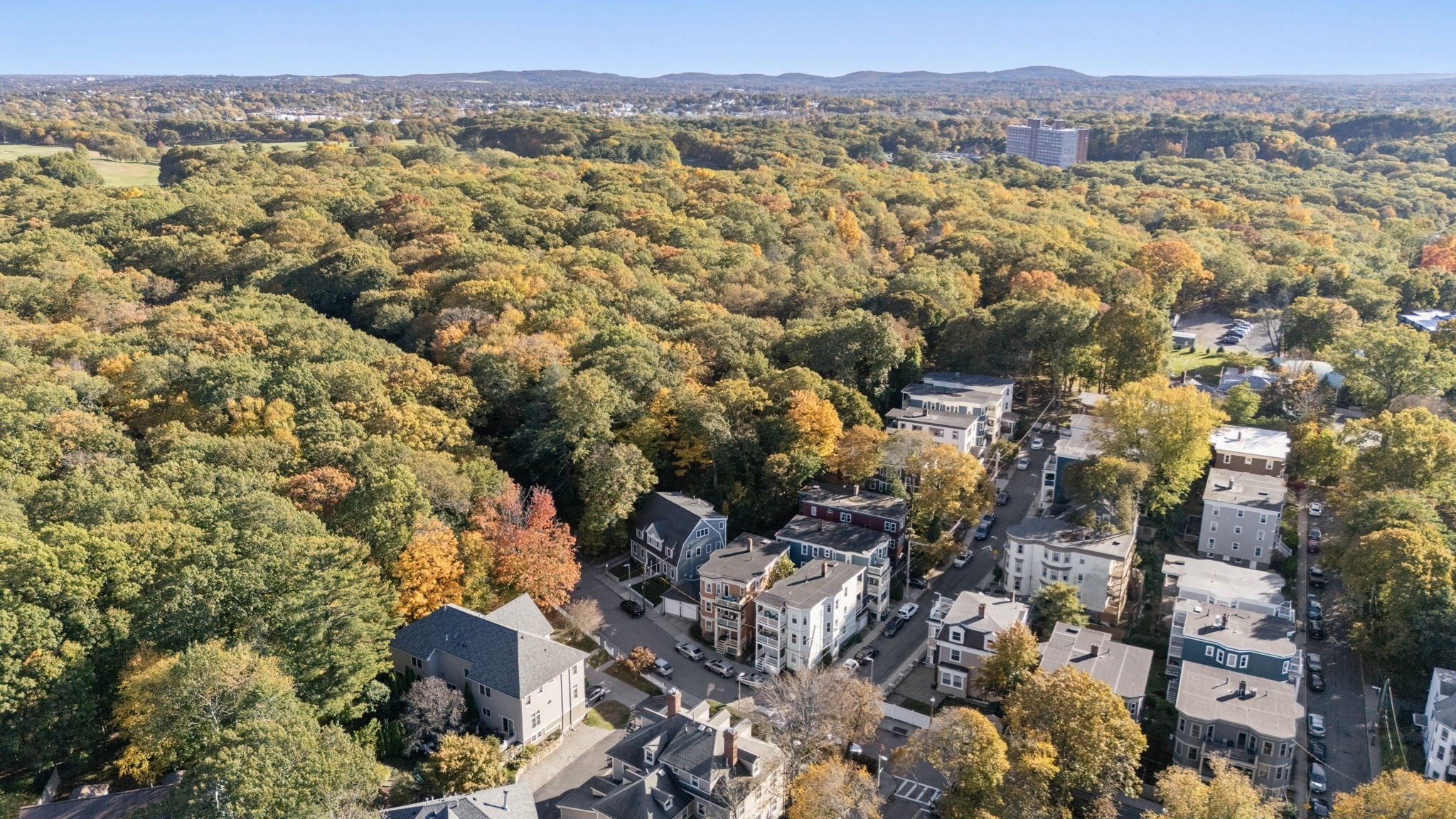 85 Glen Road Unit 2, Jamaica Plain, Boston, MA 02130 - Image 24