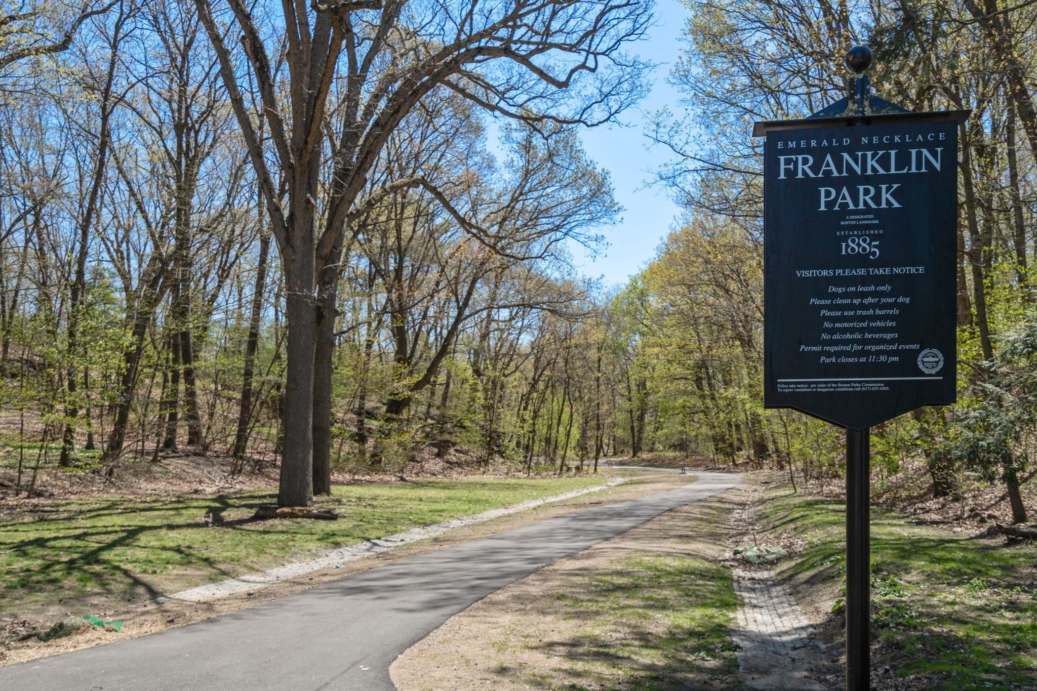 85 Glen Road Unit 2, Jamaica Plain, Boston, MA 02130 - Image 27