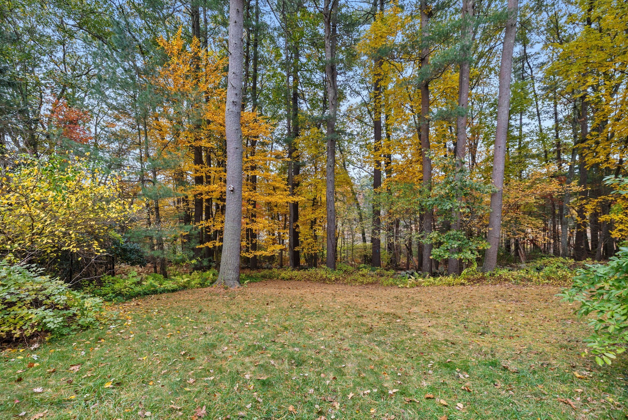 8 Athena Cir, Andover, MA 01810 - Image 3