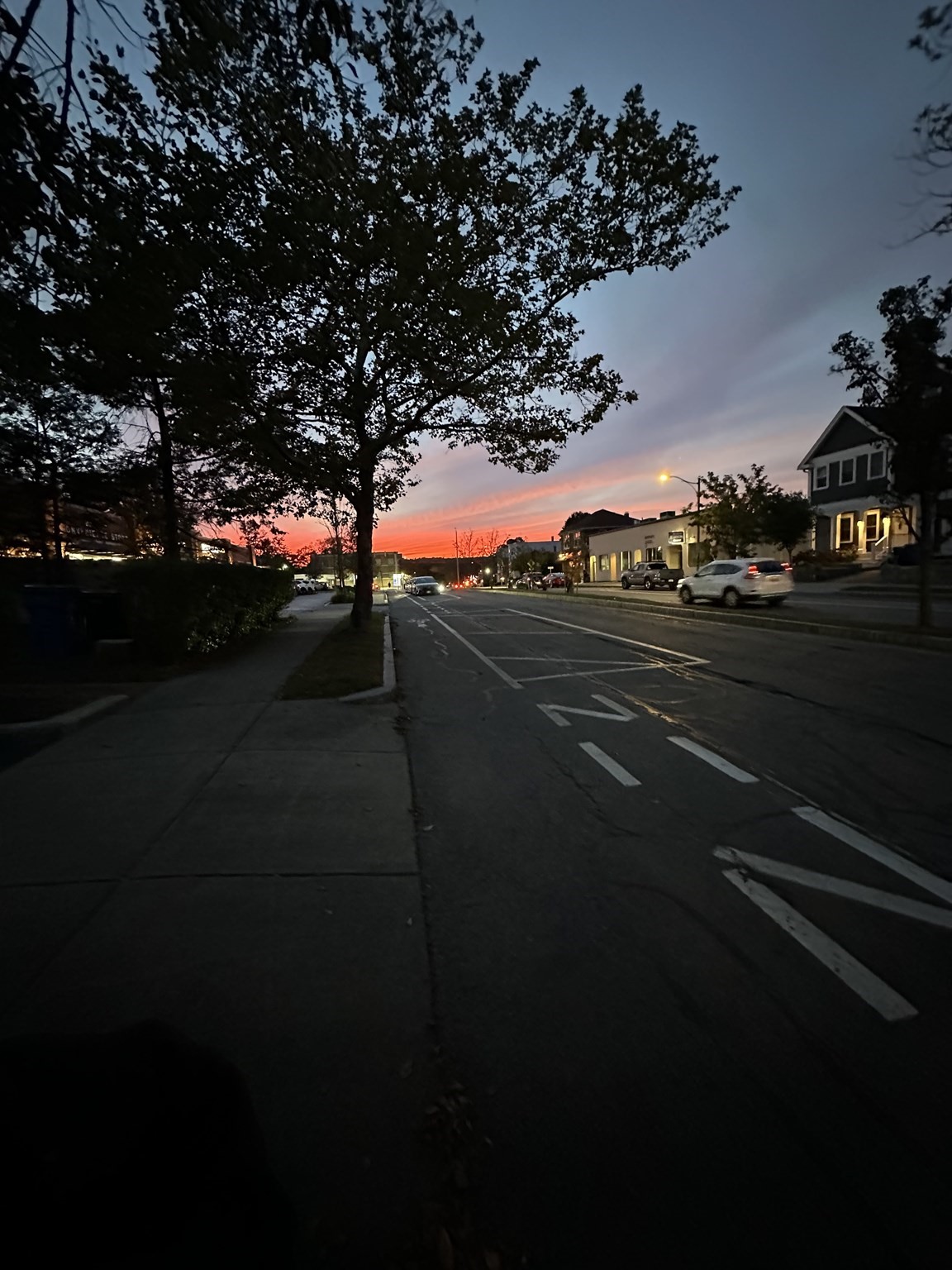 48 Concord Ave, Belmont, MA 02478 - Image 39