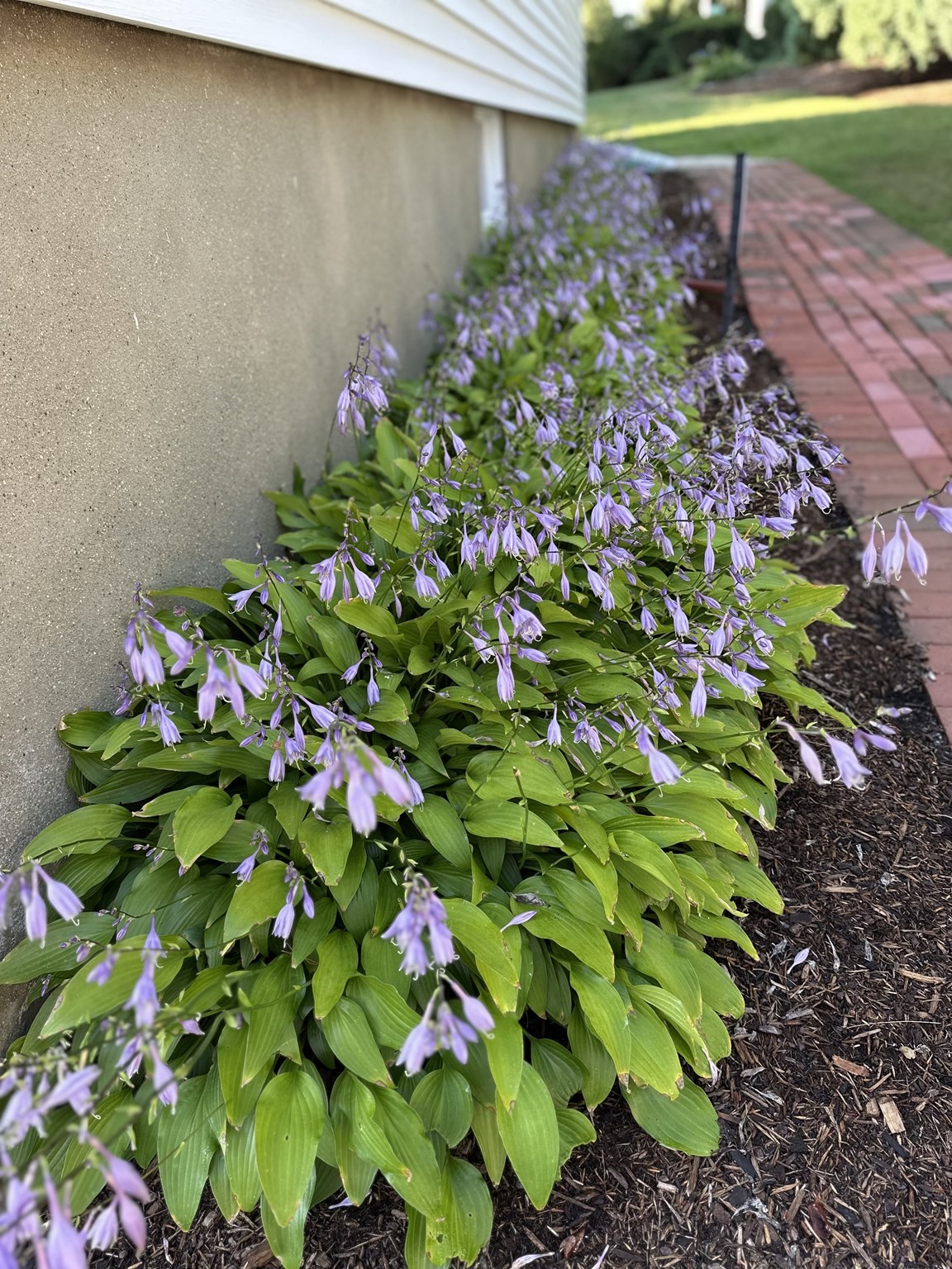 48 Concord Ave, Belmont, MA 02478 - Image 40