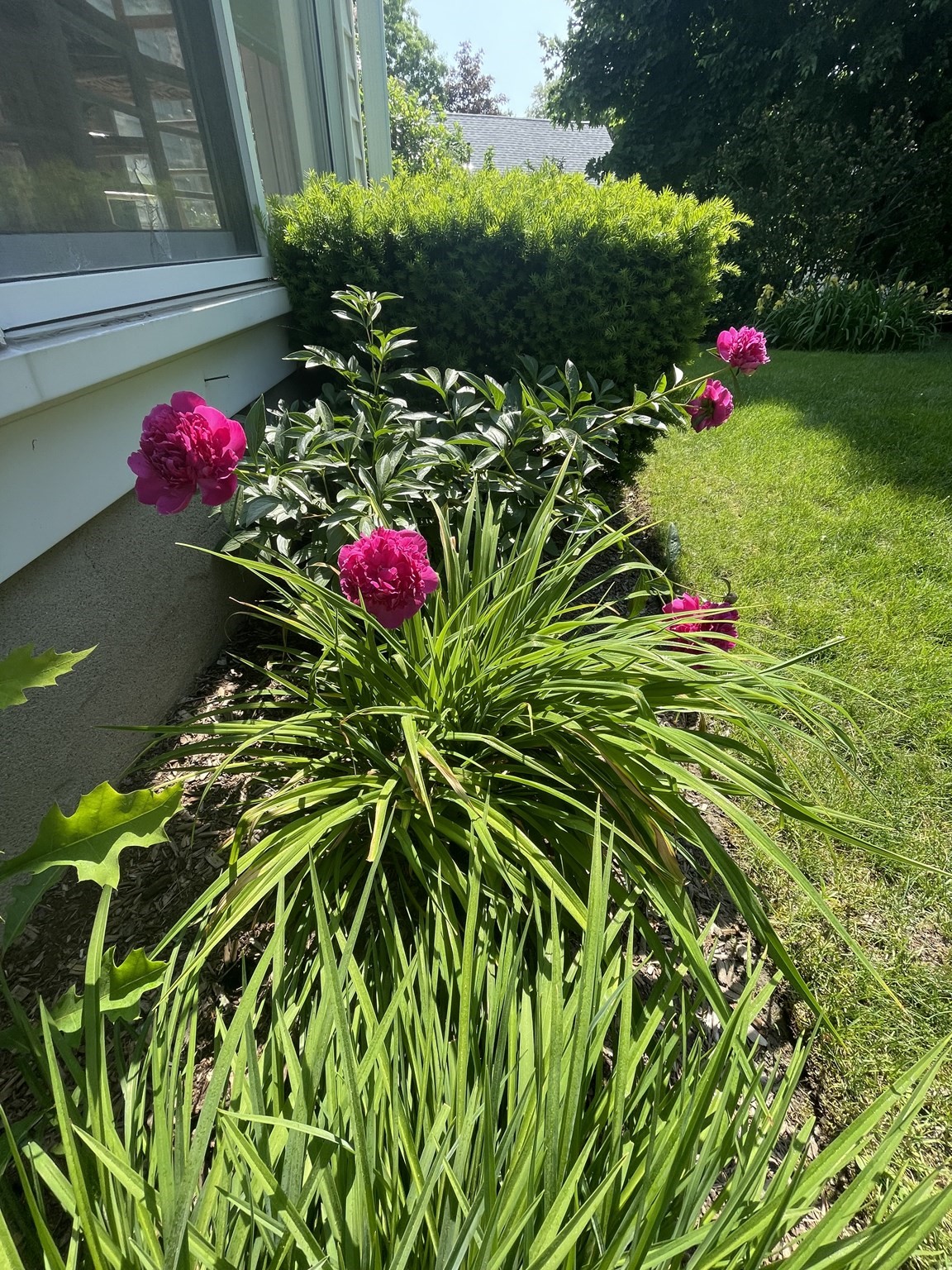 48 Concord Ave, Belmont, MA 02478 - Image 41