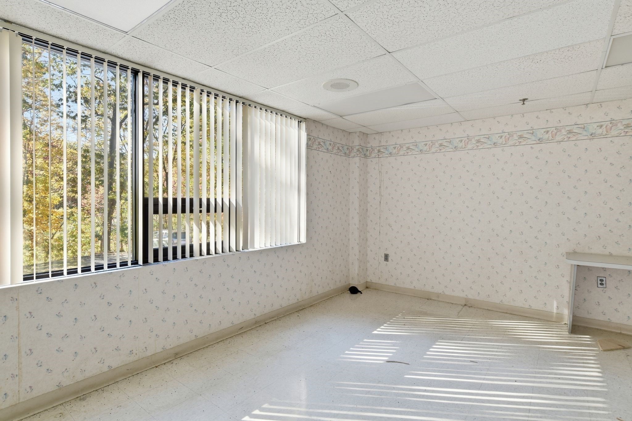 294 N Main St, East Longmeadow, MA 01028 - Image 9