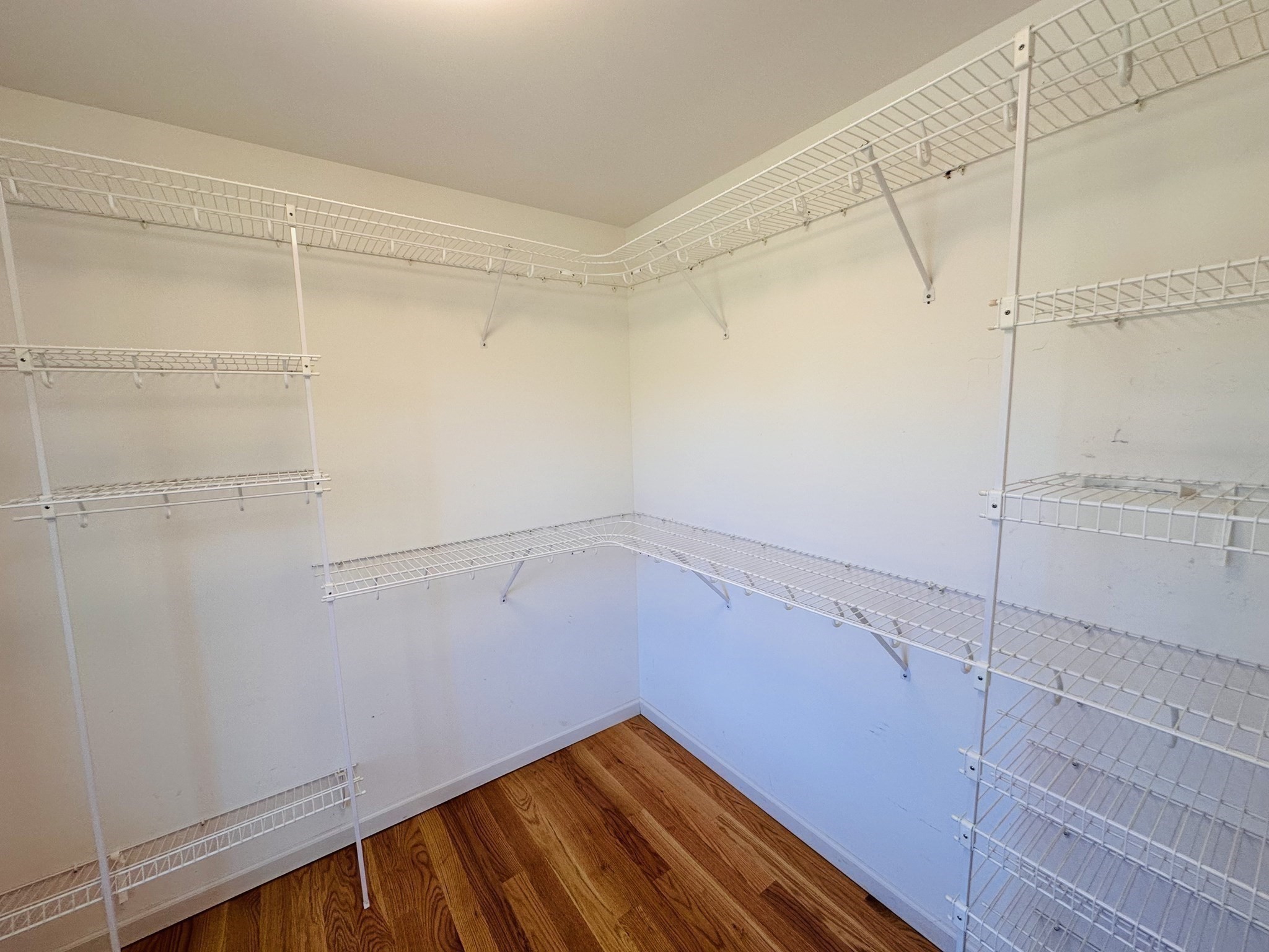 16 Rita Ln, Belchertown, MA 01007 - Image 18