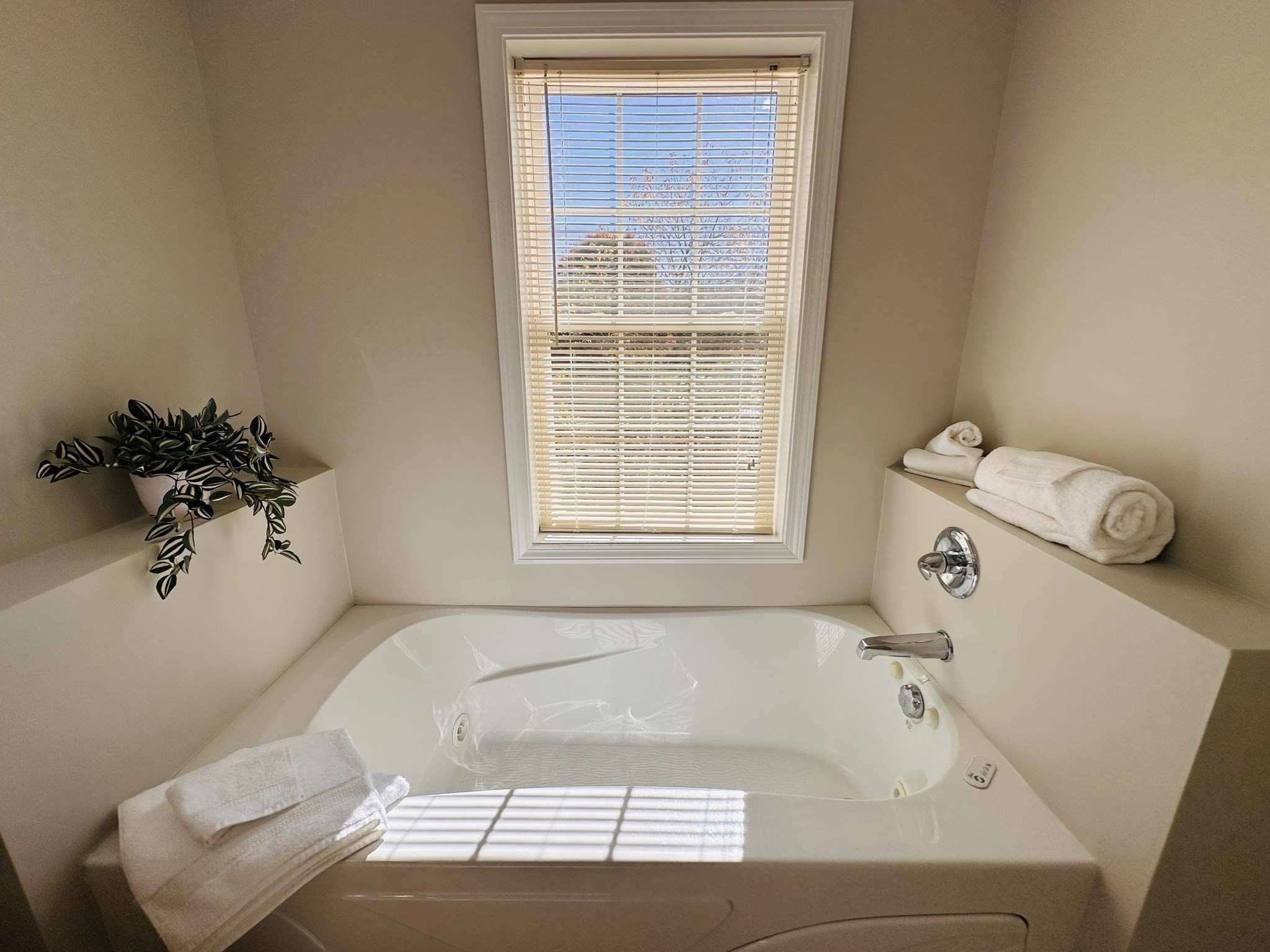 16 Rita Ln, Belchertown, MA 01007 - Image 23