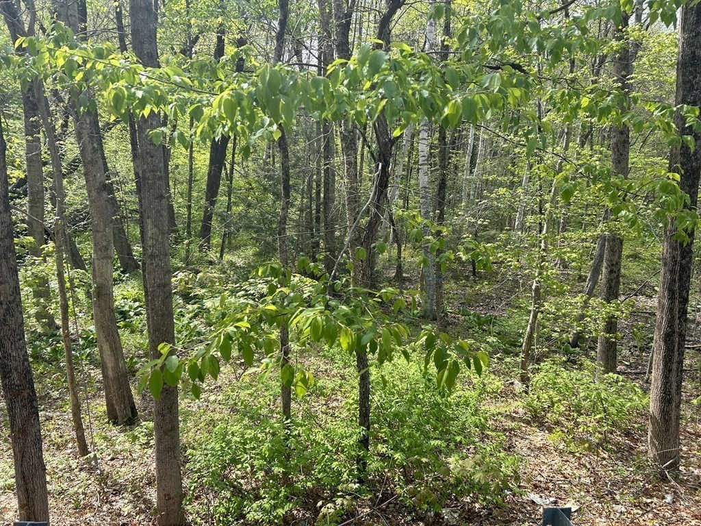 0 Parker Rd, Lancaster, MA 01561 - Image 1