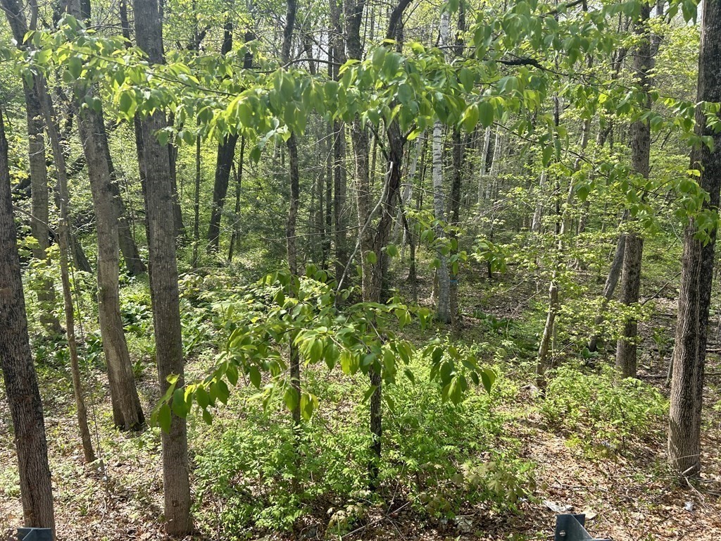 0 Parker Rd, Lancaster, MA 01561 - Image 2