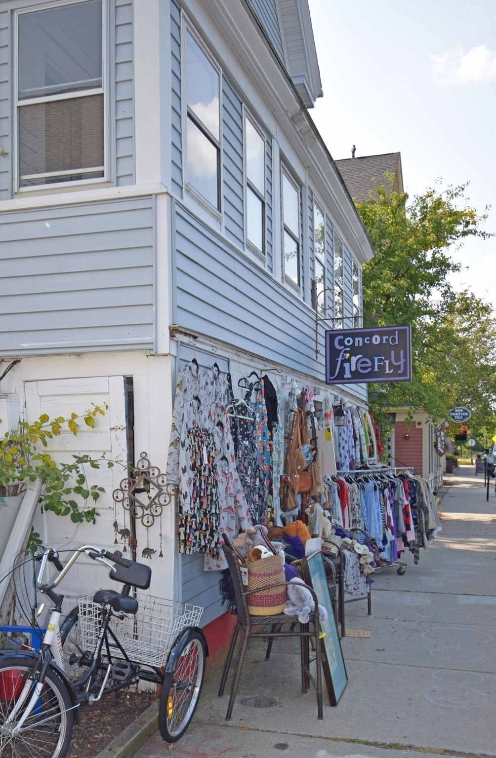 24 Concord Greene Unit 7, Concord, MA 01742 - Image 37