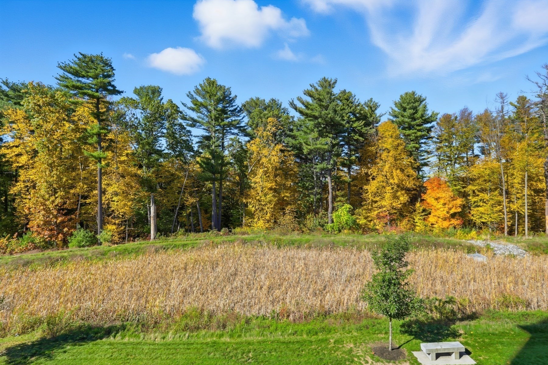 2 Francis Dr Unit 213, Andover, MA 01810 - Image 21