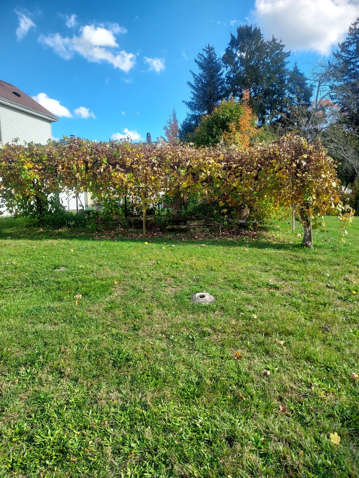 16 Kilton St, Taunton, MA 02780 - Image 13