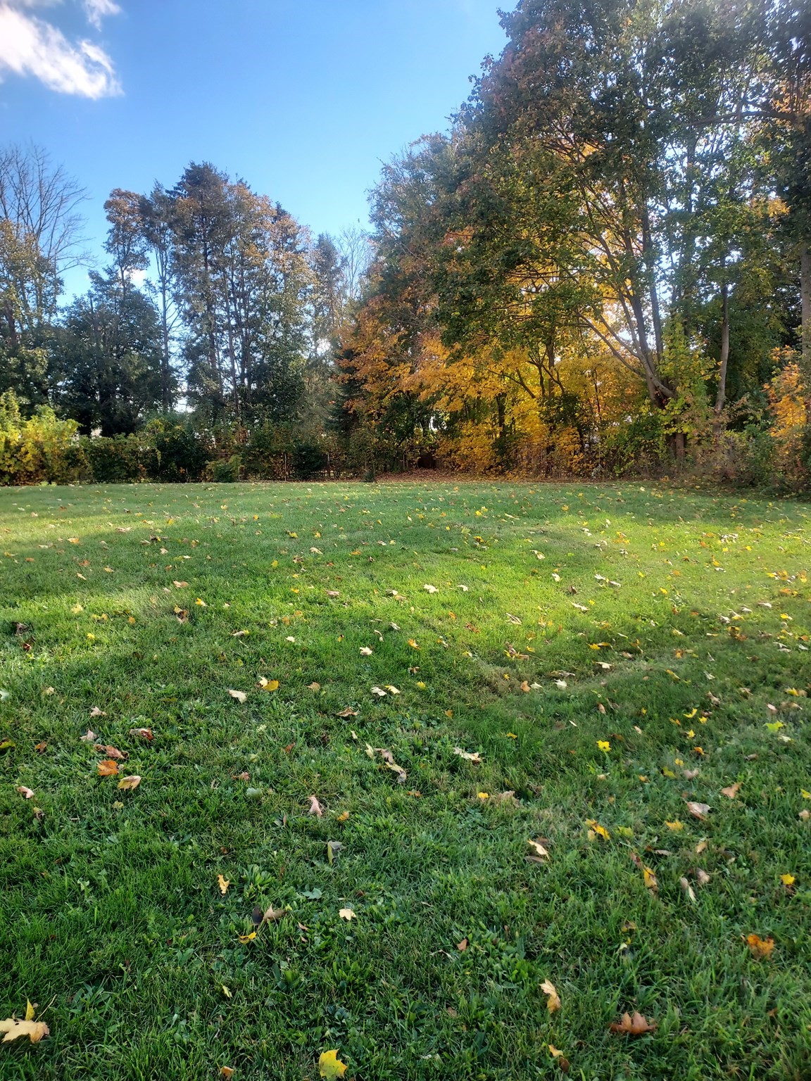 16 Kilton St, Taunton, MA 02780 - Image 14