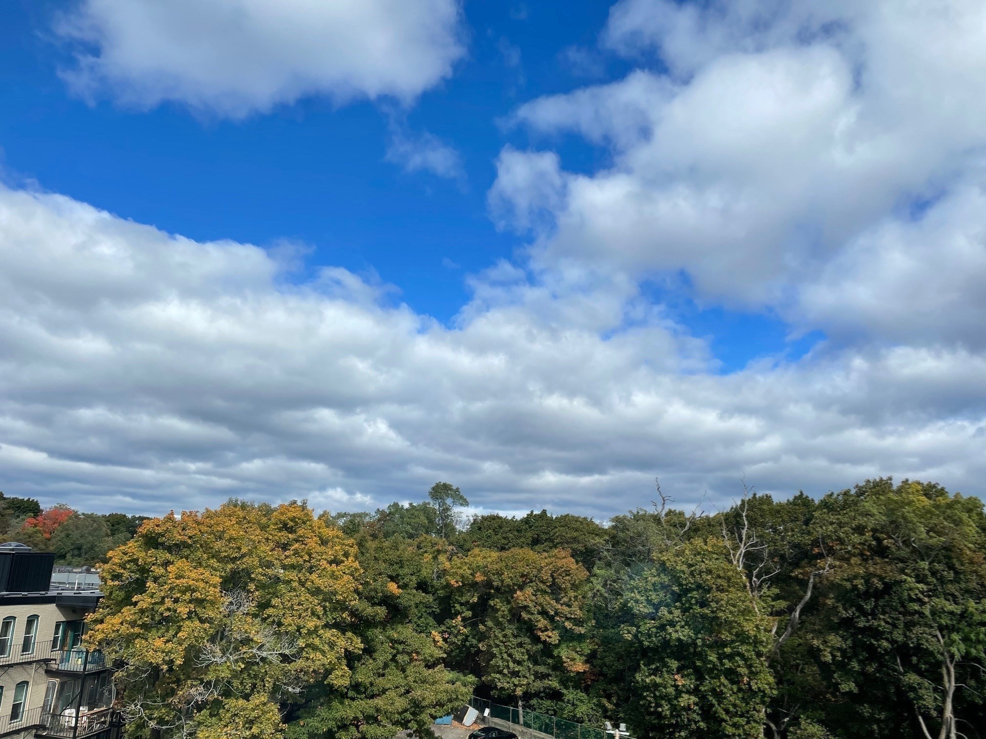 1419 Commonwealth Avenue Unit 503, Allston, Boston, MA 02135 - Image 21