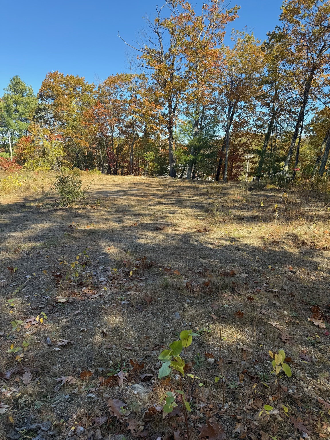 2 Birch St, Leominster, MA 01453 - Image 2