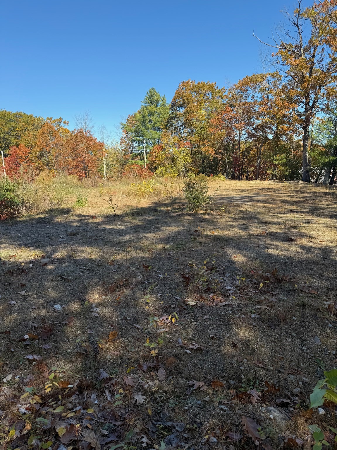 2 Birch St, Leominster, MA 01453 - Image 3