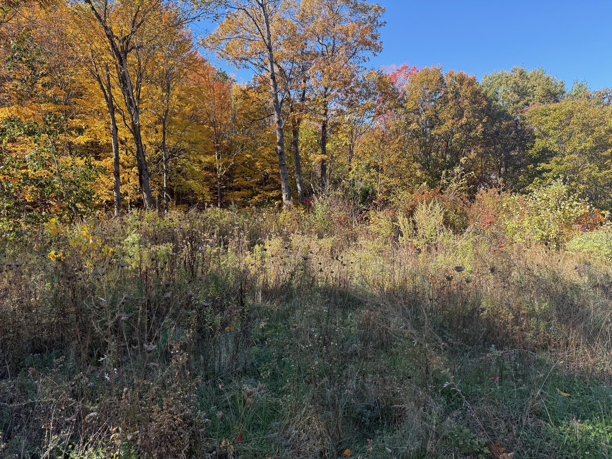 2 Birch St, Leominster, MA 01453 - Image 7