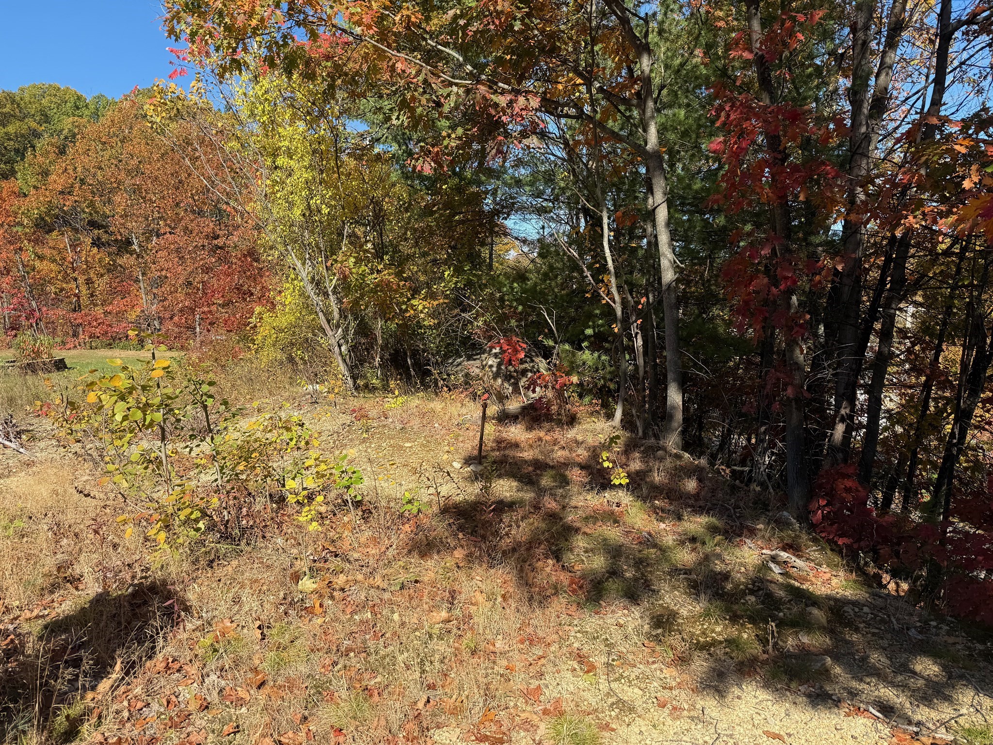 2 Birch St, Leominster, MA 01453 - Image 10