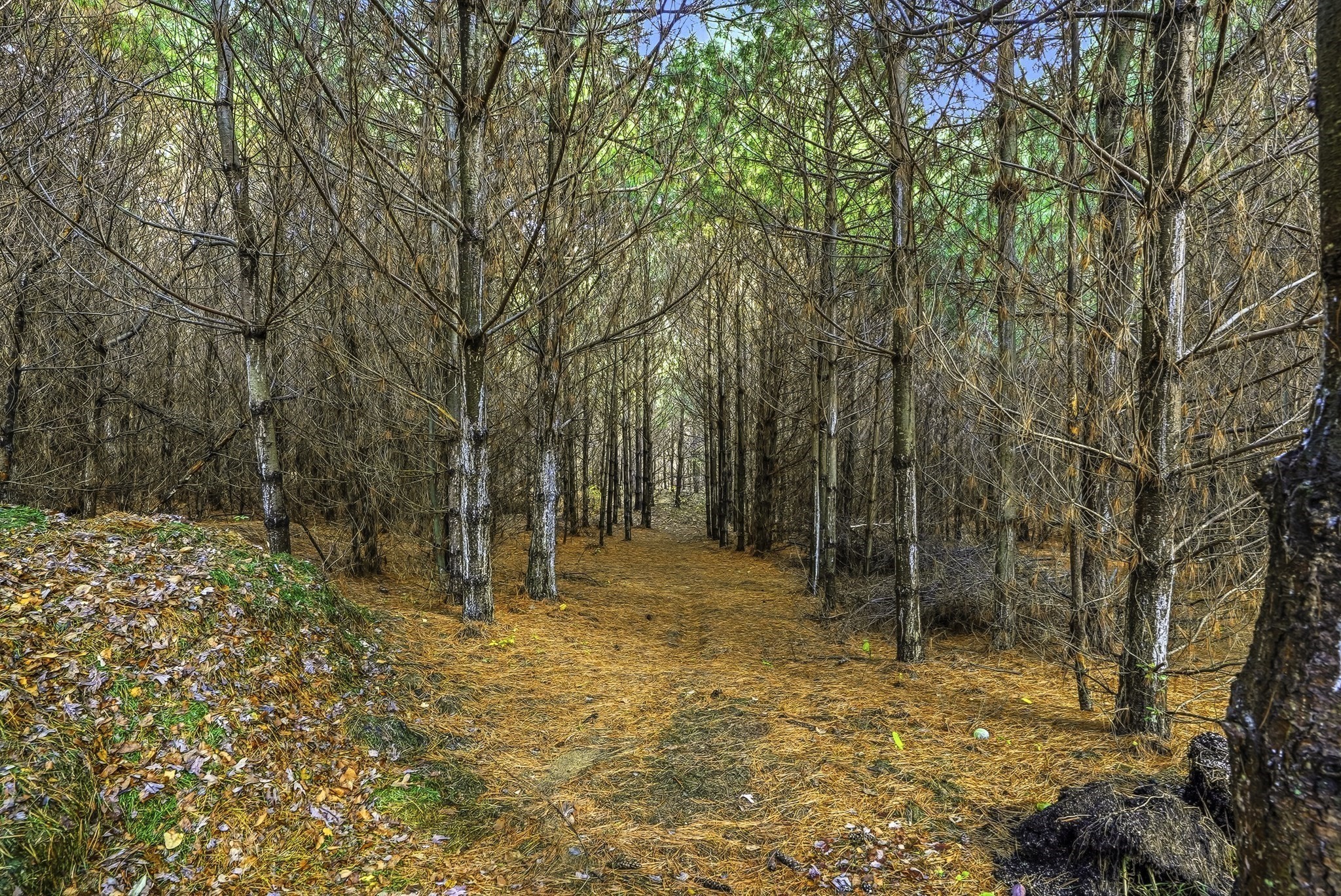 185 Prairie St, Northbridge, MA 01534 - Image 42