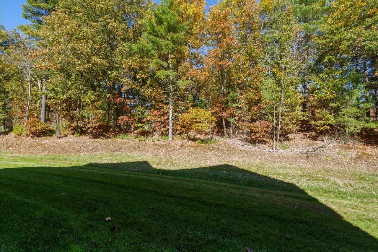 3 Jameson Dr Unit 3, Millis, MA 02054 - Image 29