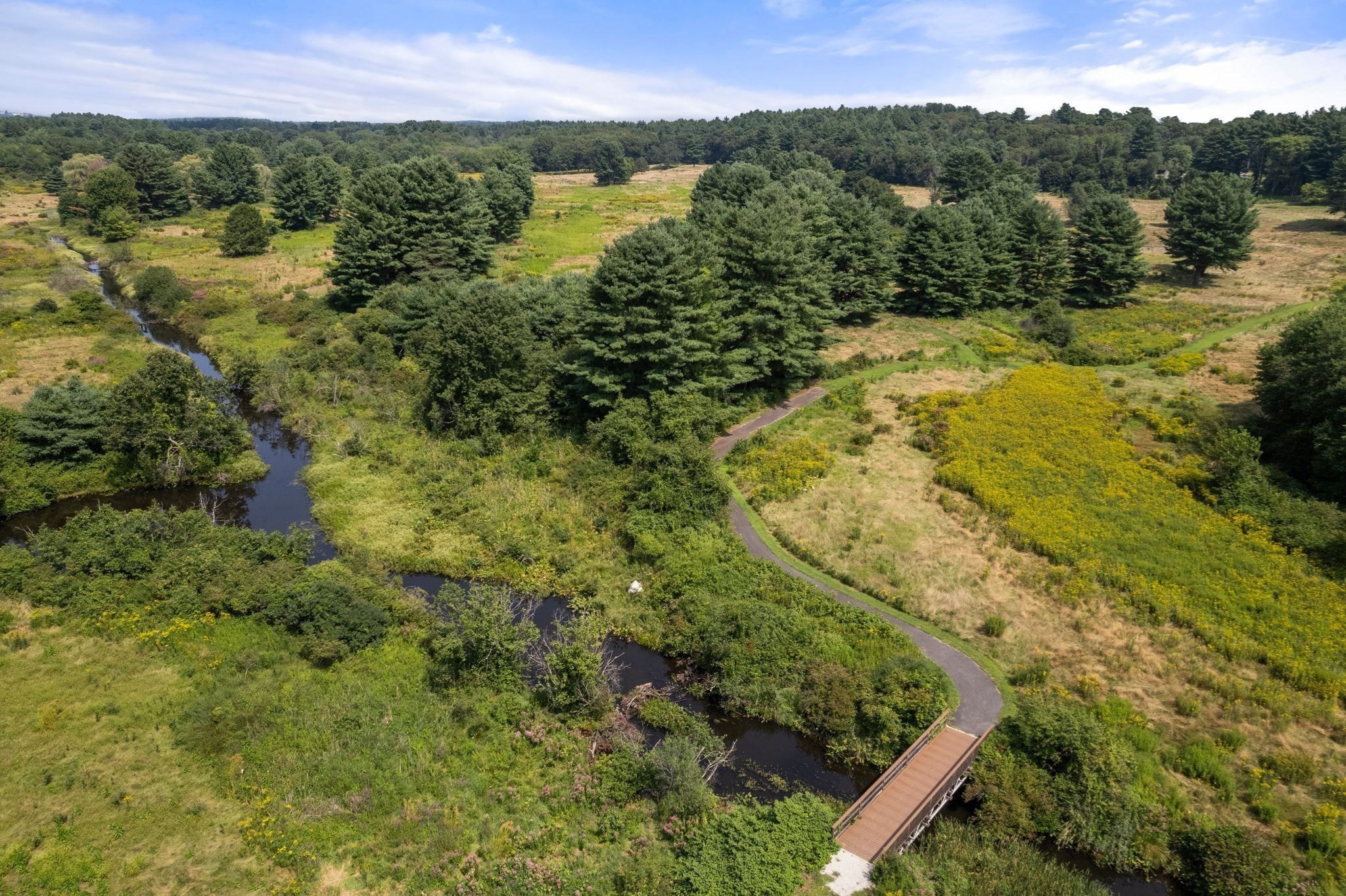 3 Jameson Dr Unit 3, Millis, MA 02054 - Image 39