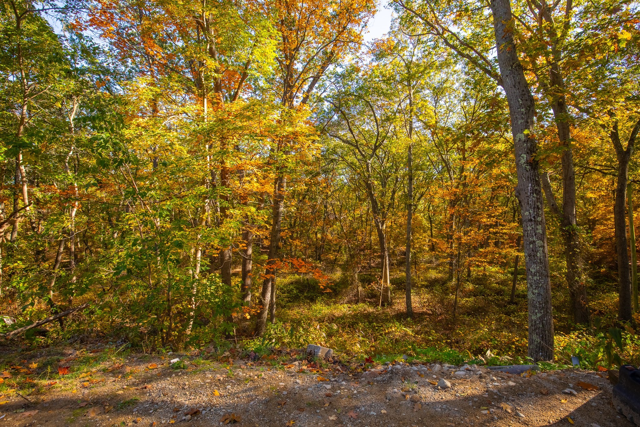 39 Graves Rd, Lynn, MA 01904 - Image 25