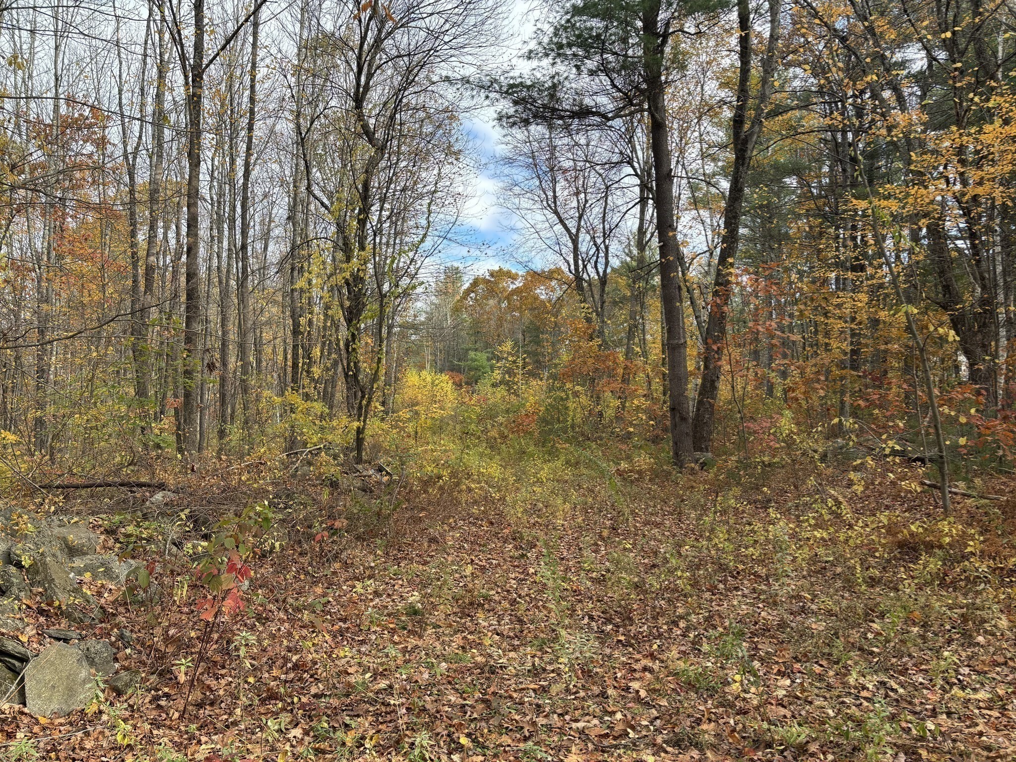 3 Clapp Road, Hardwick, MA 01037 - Image 4