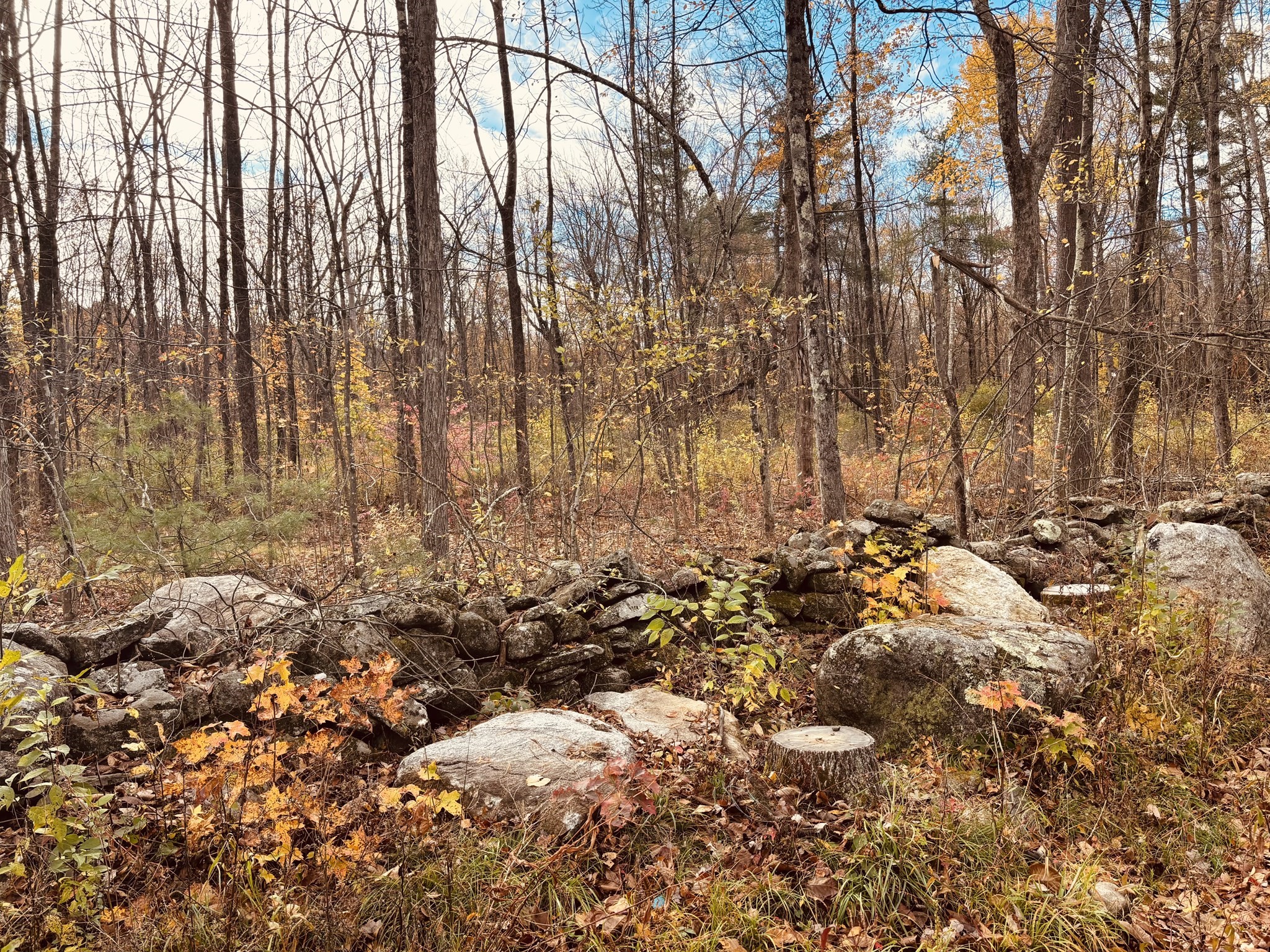 2 North Road, Hardwick, MA 01037 - Image 4