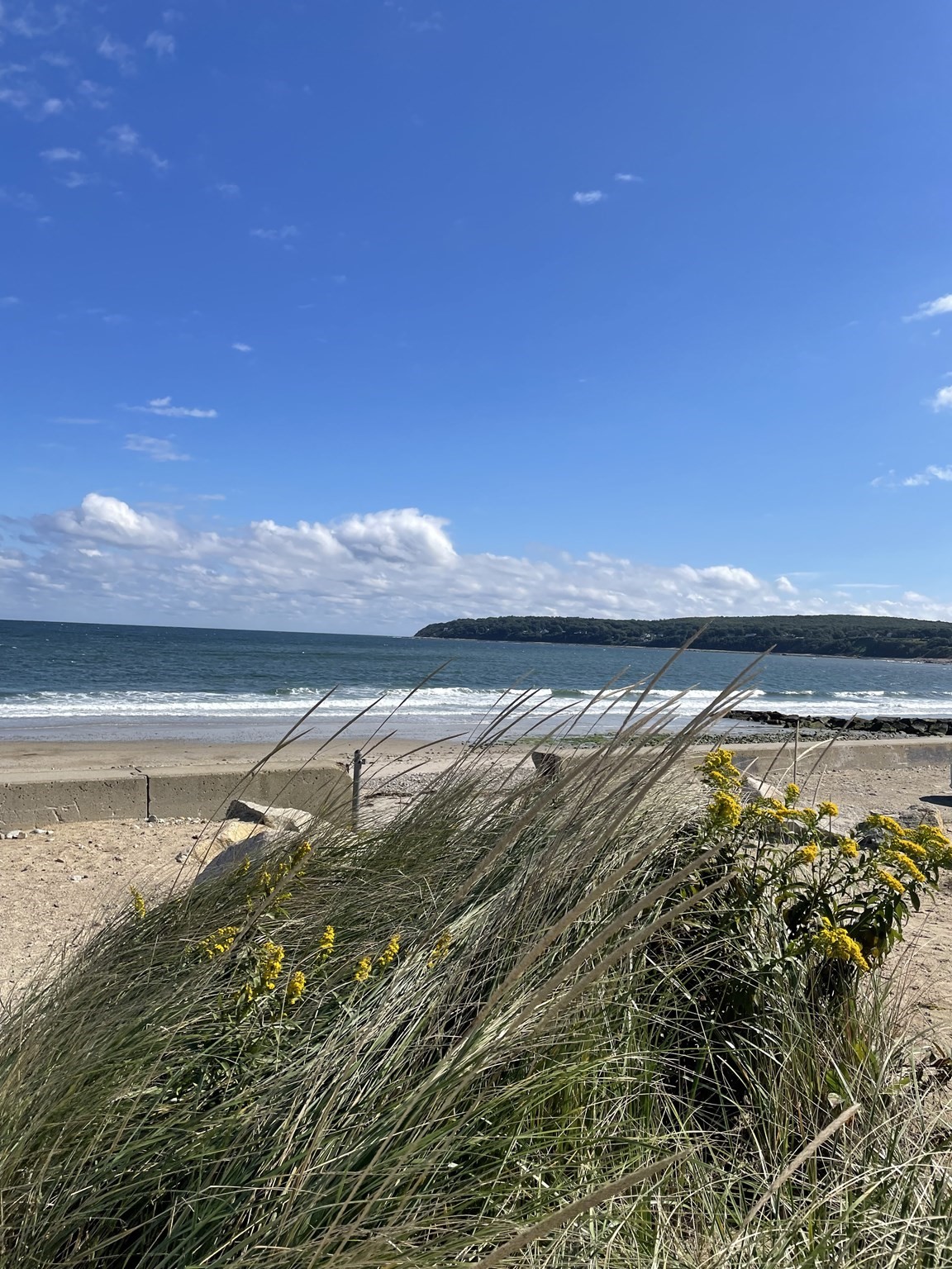 57 Stafford Street Unit 57A, Plymouth, MA 02360 - Image 35